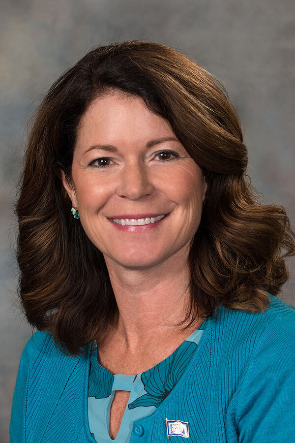 State Sen. Suzanne Geist, District 25